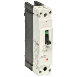 FBV_16TEO60RV_G.E._BREAKER_BELEC_DISJONCTEUR_